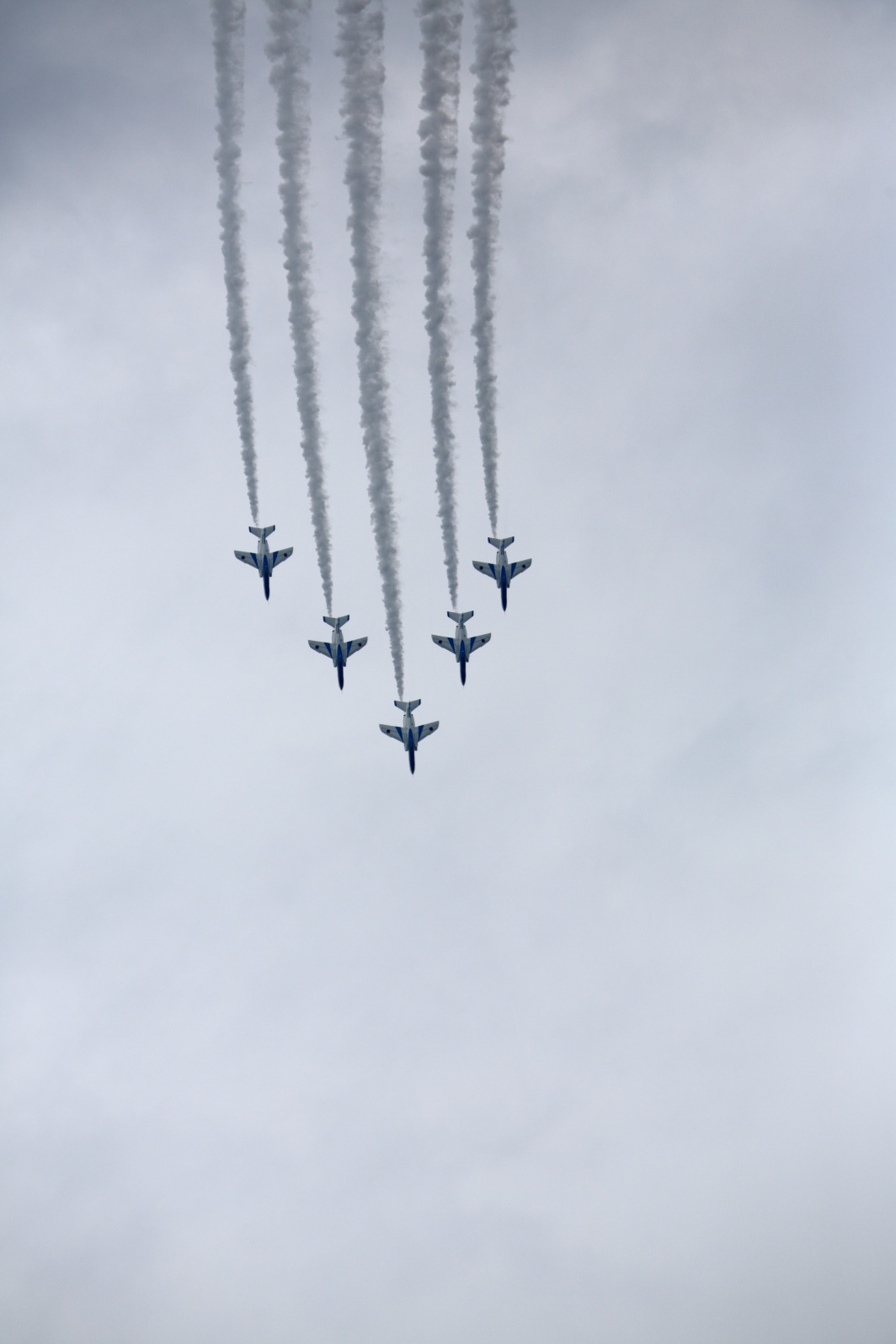a0155104_131386.jpg