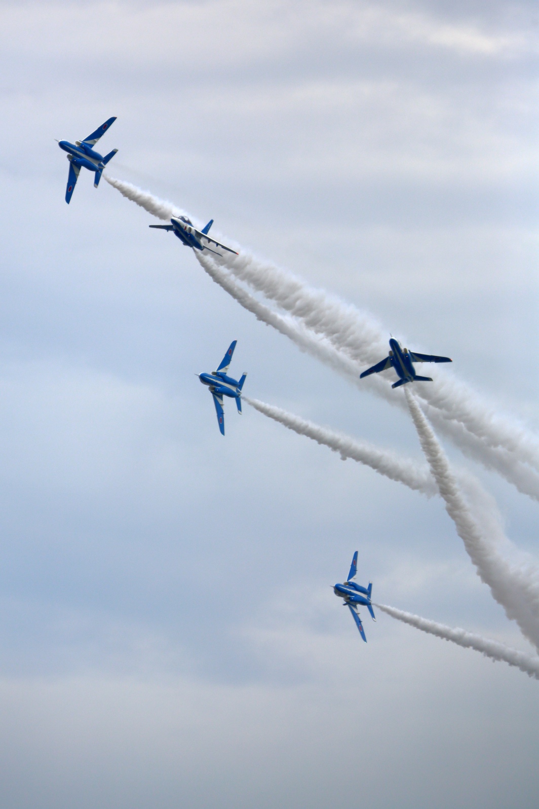 a0155104_132335.jpg