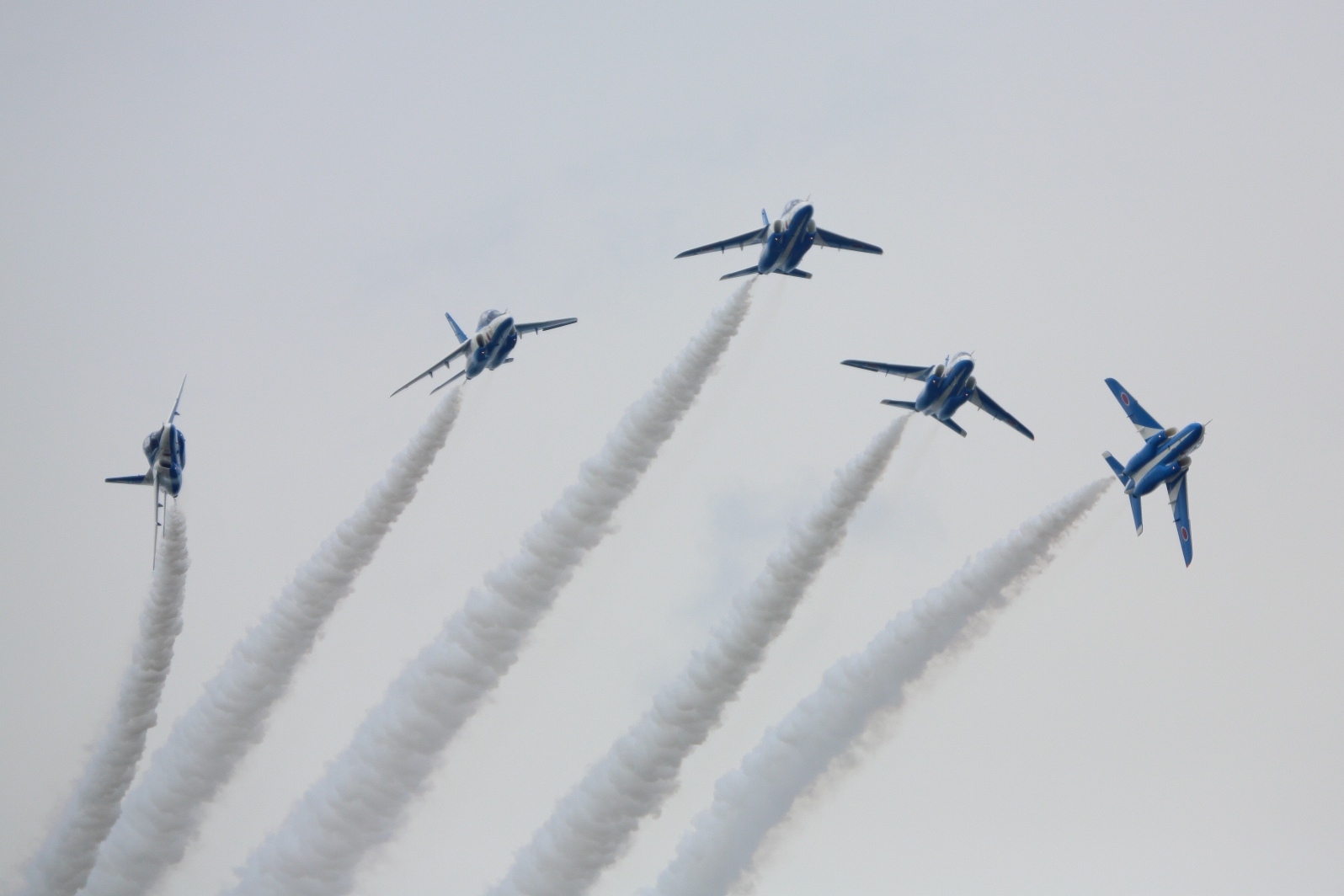 a0155104_13836.jpg