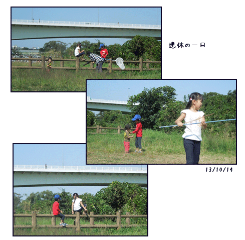 c0051105_13132535.gif