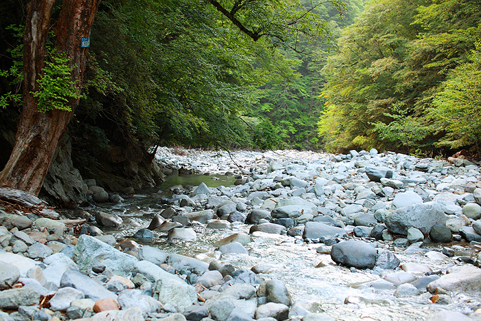 a0148606_1034243.jpg