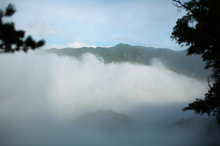 a0148606_105136.jpg