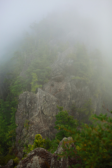 a0148606_1053195.jpg