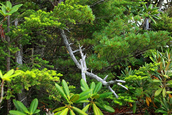 a0148606_1092196.jpg
