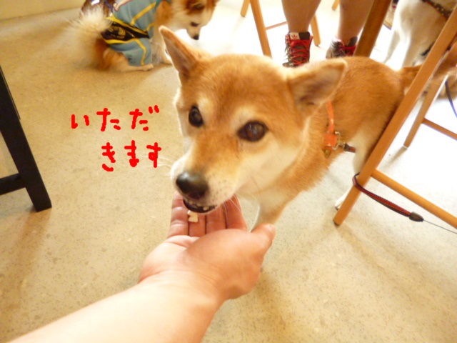 e0131506_15525298.jpg