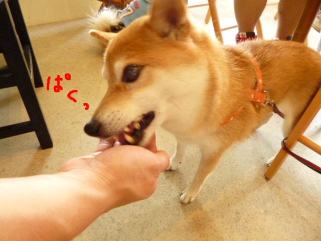 e0131506_15545817.jpg