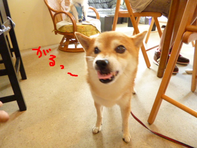 e0131506_15554075.jpg
