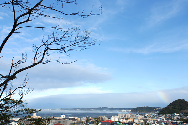 十年に一度の台風と虹の切れ端_b0000608_7361654.jpg