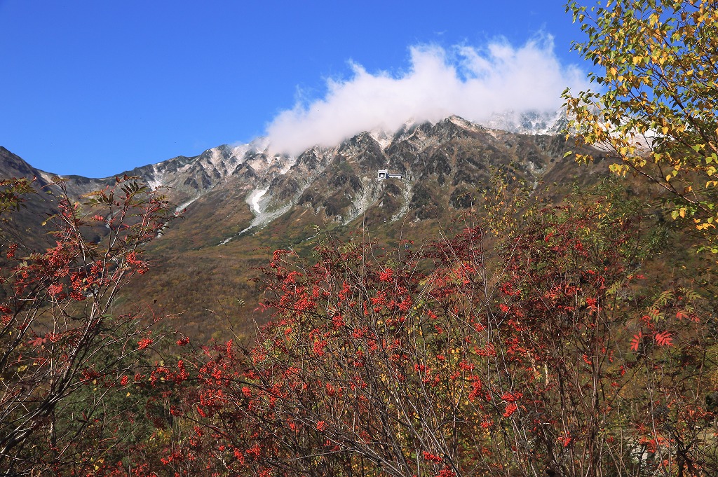 b0229909_8572239.jpg