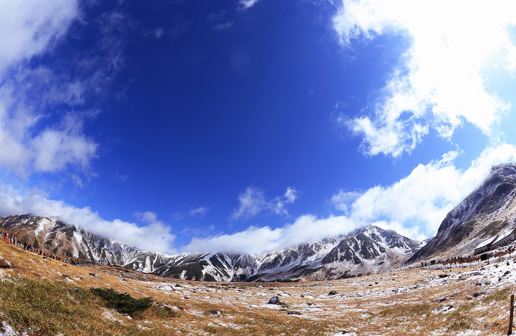 b0229909_859332.jpg