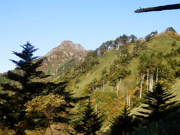 f0219710_633461.jpg