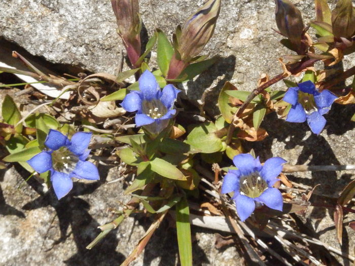 f0219710_872477.jpg