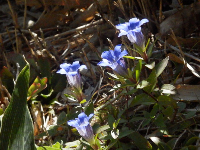 f0219710_874222.jpg