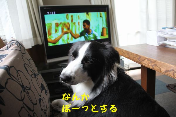 d0224111_8132549.jpg