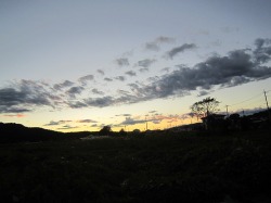 つくば市 角トップ_c0237313_18204875.jpg