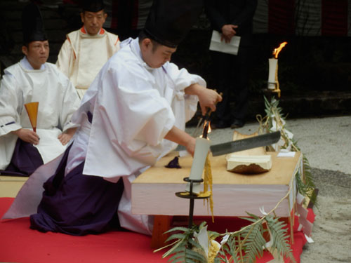 岡崎神社大祭　一條流式包丁奉納_e0048413_22115224.jpg