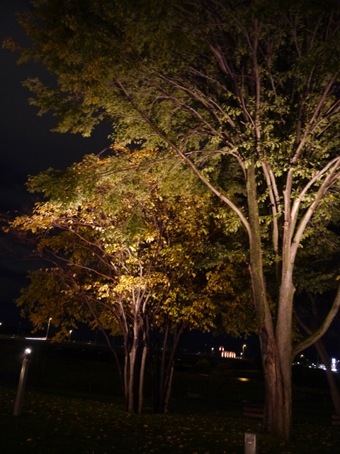 e0336214_11204872.jpg