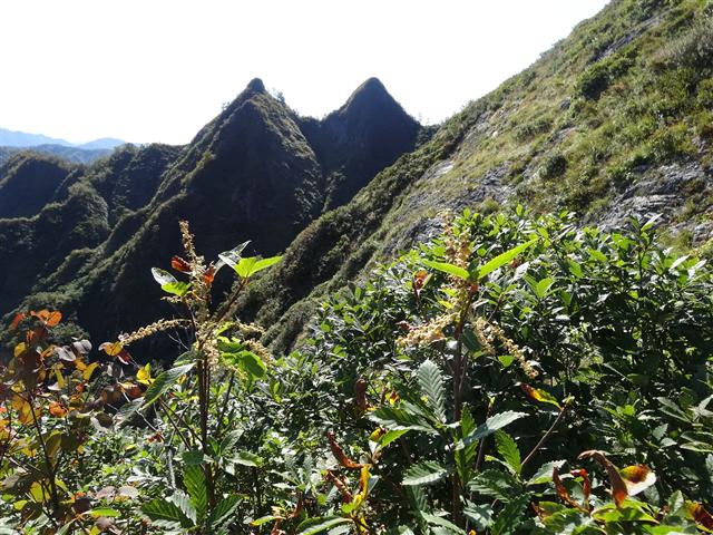 a0127015_1010393.jpg