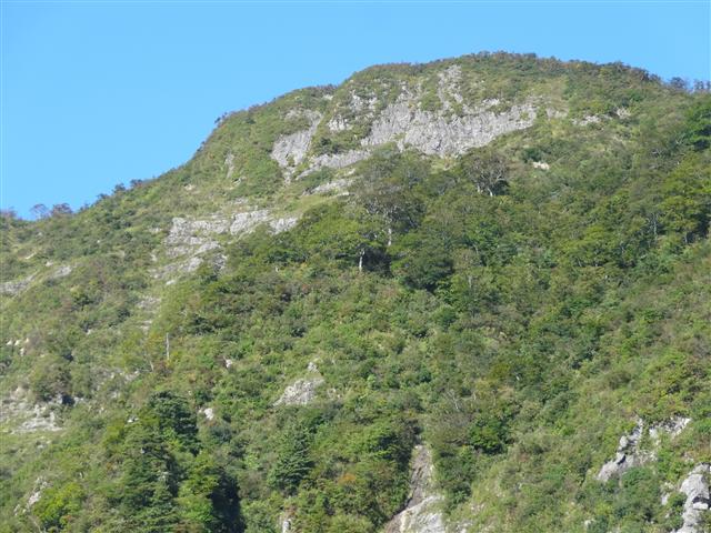 a0127015_9243373.jpg