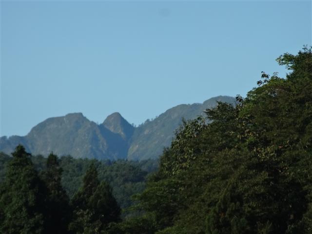 a0127015_97269.jpg