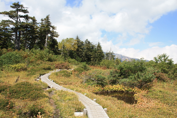 b0093515_21104535.jpg