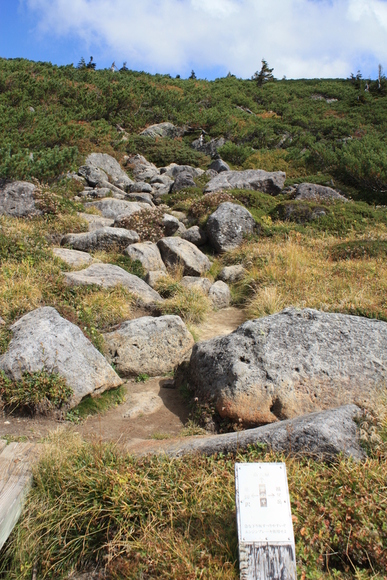 b0093515_2115713.jpg