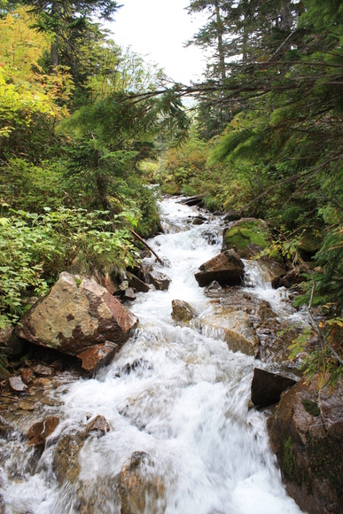 b0093515_21174384.jpg