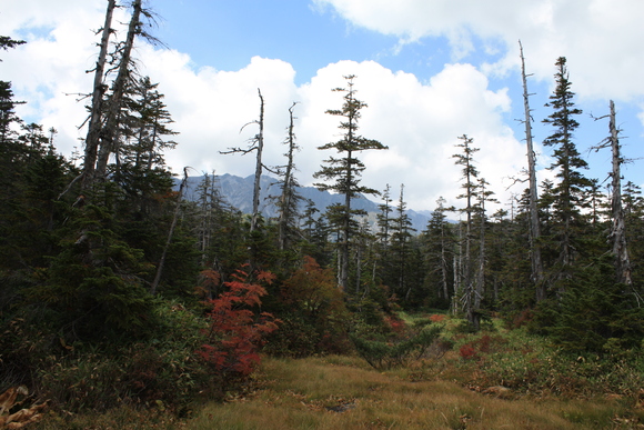 b0093515_21184968.jpg