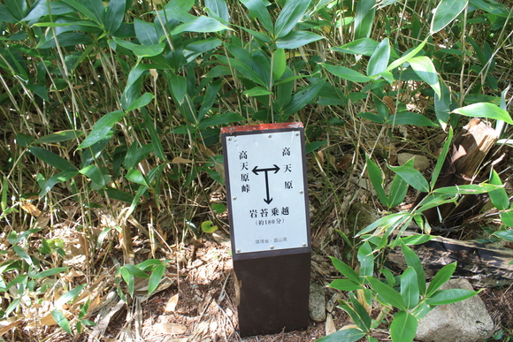 b0093515_21225864.jpg