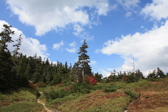 b0093515_21333787.jpg