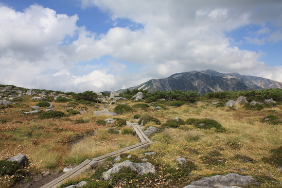 b0093515_2181383.jpg