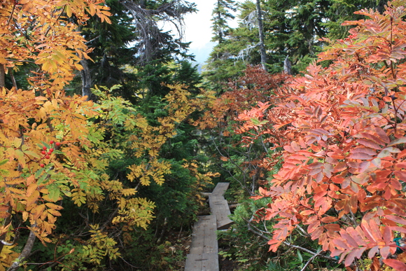 b0093515_218386.jpg