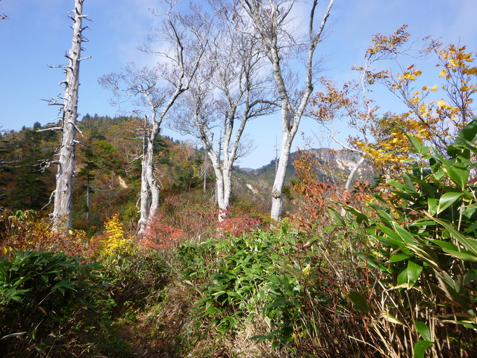 白山スーパー林道＆野谷荘司山 (1,797.3M)　　登頂　編_d0170615_7575270.jpg