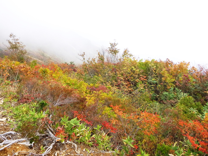 白山スーパー林道＆野谷荘司山 (1,797.3M)　　登頂　編_d0170615_7582321.jpg