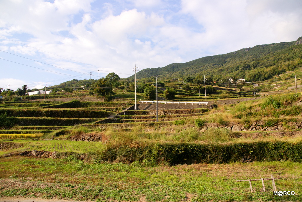 瀬戸内国際芸術祭と島根 2013 : 2. 小豆島 @ 香川_a0240721_21385222.jpg