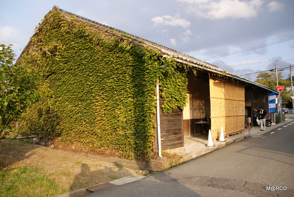 瀬戸内国際芸術祭と島根 2013 : 2. 小豆島 @ 香川_a0240721_21463632.jpg