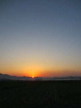 f0147922_1213687.jpg