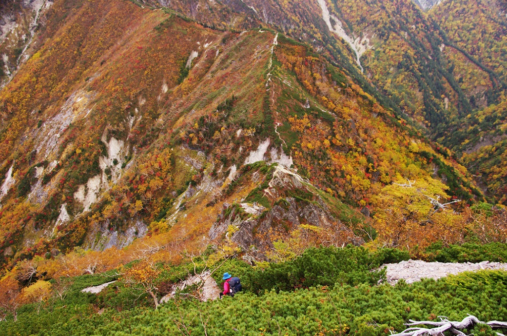 b0062024_22333921.jpg