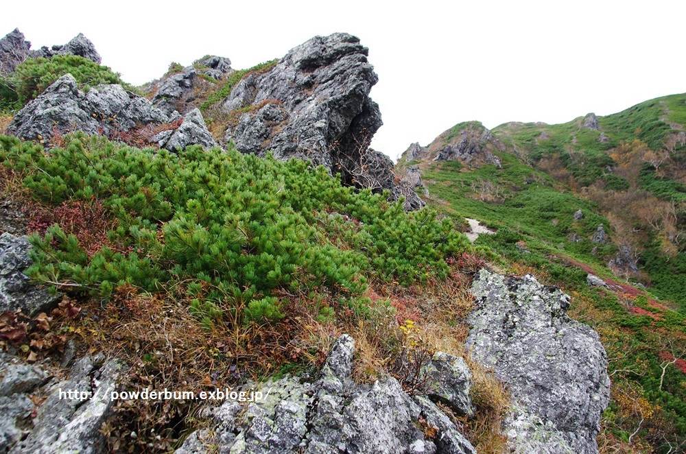 b0062024_2246273.jpg
