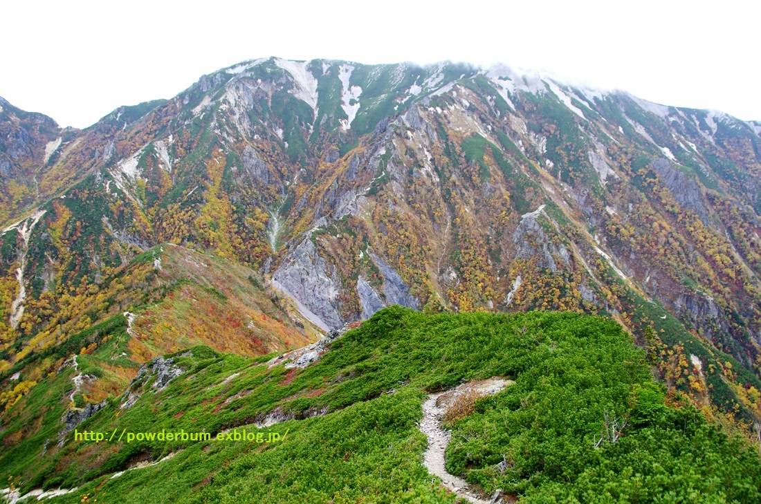 b0062024_22473855.jpg