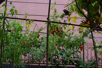 f0170524_9263440.jpg