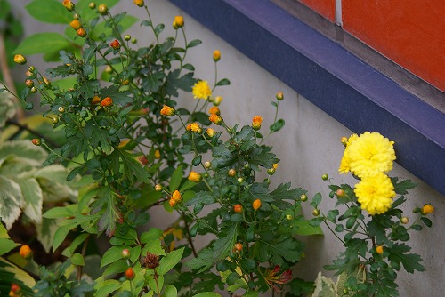 f0170524_9284520.jpg