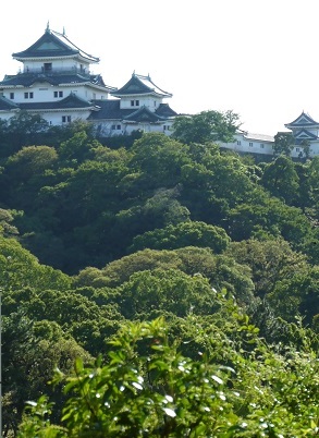 え？　和歌山に♪　　　～イ・ボローニャ（和歌山）～_c0235725_22585838.jpg