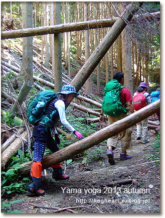 お山でヨガ １０月☆休日編 金剛山 報告_f0086825_22471145.jpg