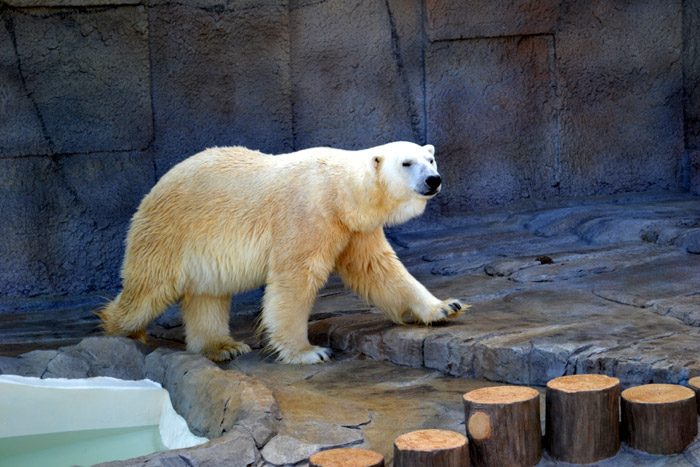 動物園に行ってきました～その1～_e0037129_2111577.jpg