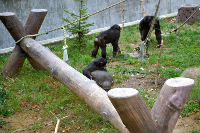 動物園に行ってきました～その1～_e0037129_2112299.jpg