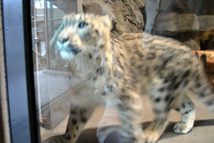 動物園に行ってきました～その1～_e0037129_2171779.jpg