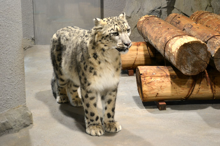 動物園に行ってきました～その1～_e0037129_2172489.jpg