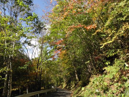 紅葉の気配!大川渓谷をさかのぼってみた。_b0206037_2305621.jpg