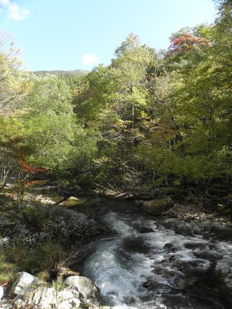 紅葉の気配!大川渓谷をさかのぼってみた。_b0206037_2311758.jpg